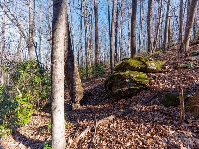 00 Mountain Page Road 17,18,19, Saluda, NC 28773