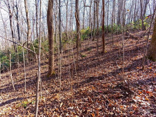 00 Mountain Page Road 17,18,19, Saluda, NC 28773