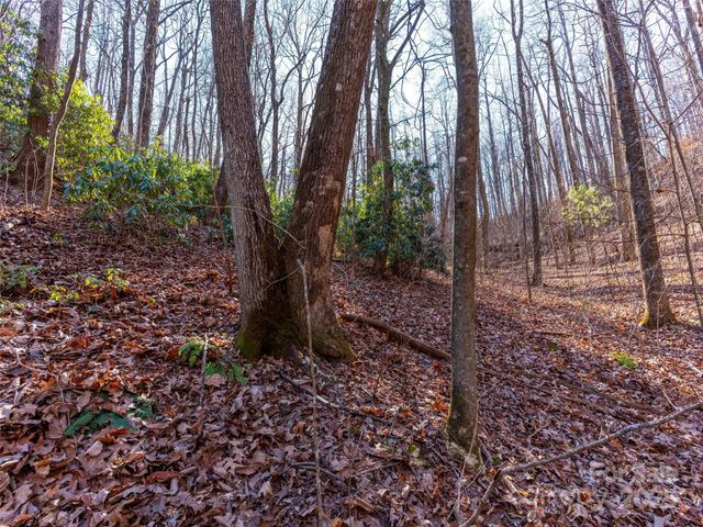 00 Mountain Page Road 17,18,19, Saluda, NC 28773