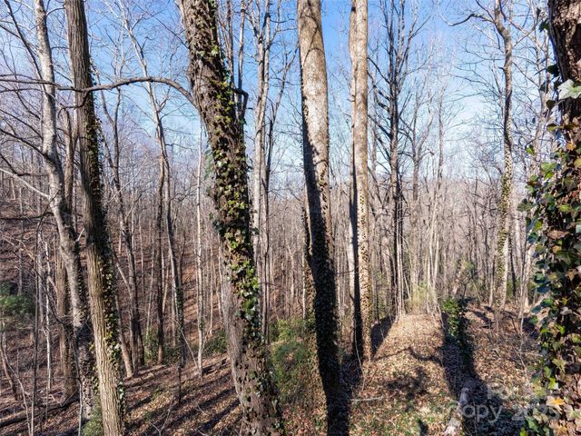 00 Mountain Page Road 17,18,19, Saluda, NC 28773