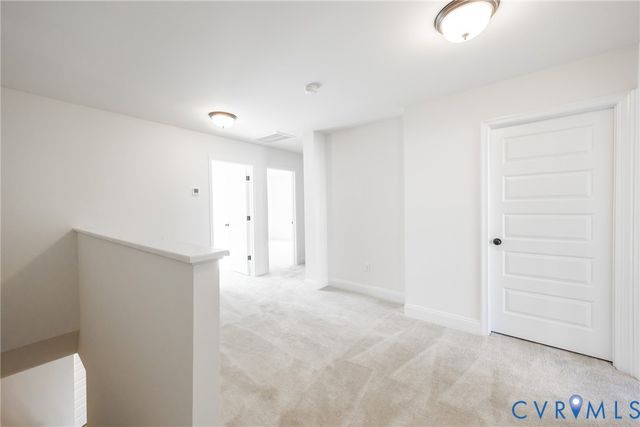 18732 Palisades Cove Trl, Moseley, VA 23120