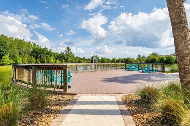 29922 SOUTHWELL LANE, Wesley Chapel, FL 33543