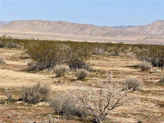 0 Datura Terrace, Big Bear City, CA 92285