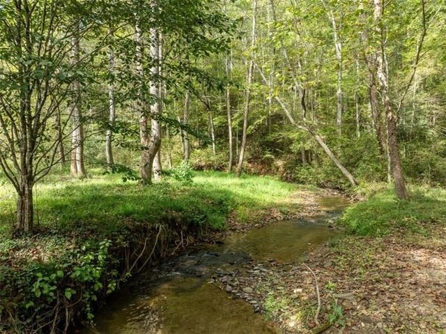 0 Roaring Forks Lane, Ellijay, GA 30540