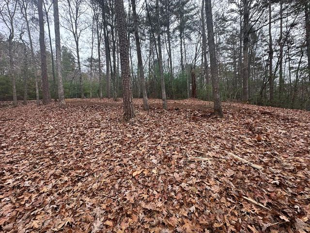 0 Roaring Forks Lane, Ellijay, GA 30540