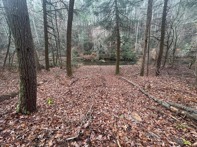 0 Roaring Forks Lane, Ellijay, GA 30540