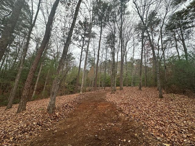 0 Roaring Forks Lane, Ellijay, GA 30540