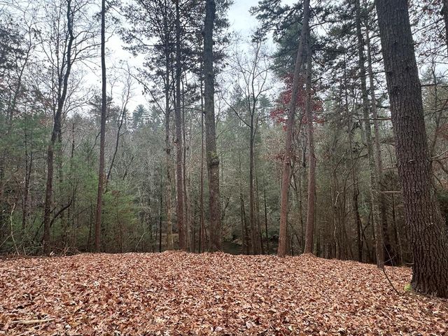 0 Roaring Forks Lane, Ellijay, GA 30540