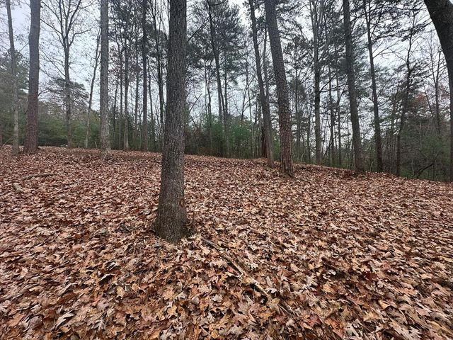 0 Roaring Forks Lane, Ellijay, GA 30540