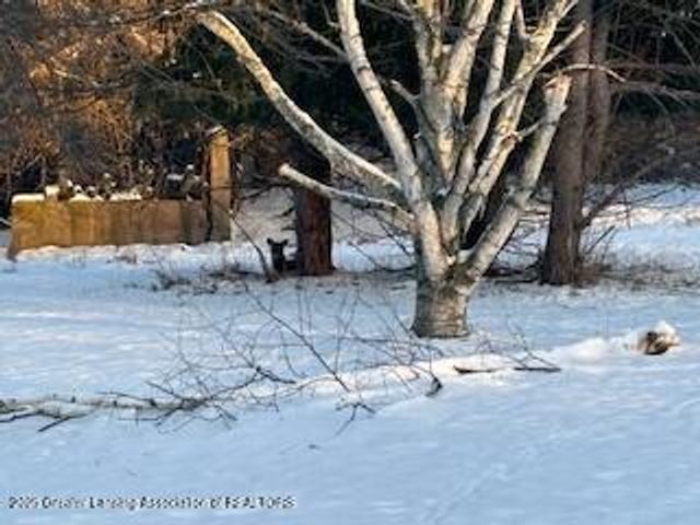 5434 Green Road, St. Johns, MI 48879