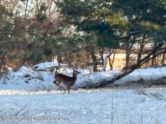 5434 Green Road, St. Johns, MI 48879