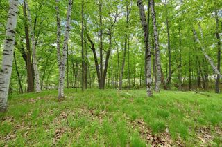 19311 (Xxx) N Newgate Avenue, Scandia, MN 55047
