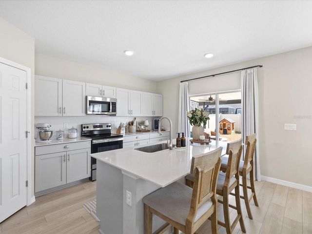34110 SCARLET SAGE COURT, Wesley Chapel, FL 33545