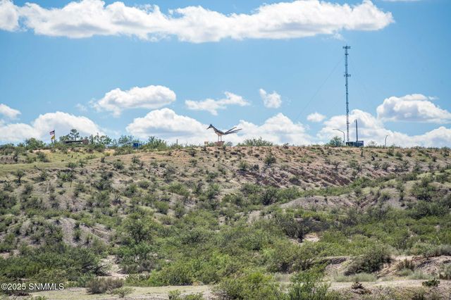 5585 Red Wolf Lane, Las Cruces, NM 88007