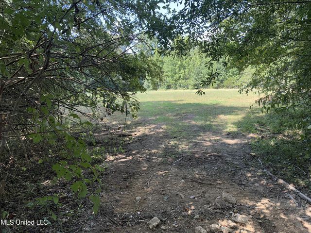 152 Spring Dove Road, Byhalia, MS 38611