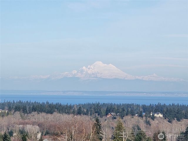 40 Topaz Way, Sequim, WA 98382