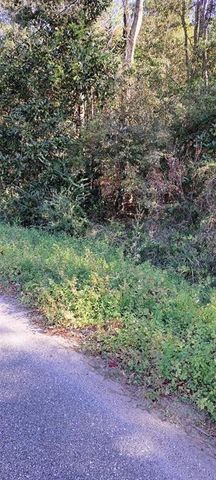 0 Dykes Road, Eight Mile, AL 36613