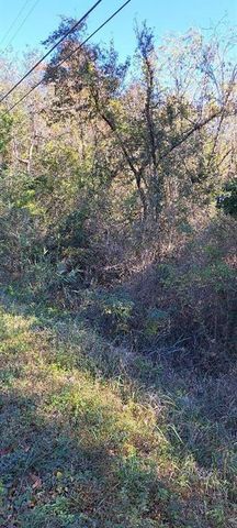 0 Dykes Road, Eight Mile, AL 36613