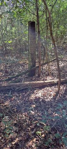 0 Dykes Road, Eight Mile, AL 36613