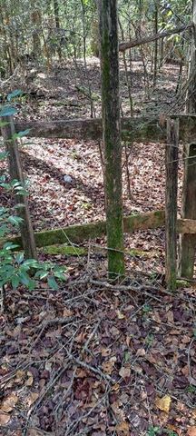 0 Dykes Road, Eight Mile, AL 36613