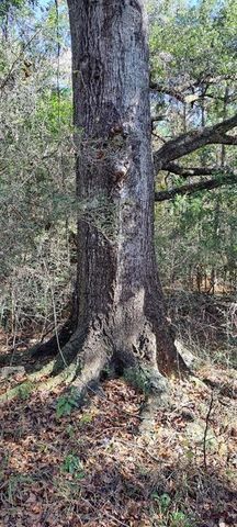 0 Dykes Road, Eight Mile, AL 36613