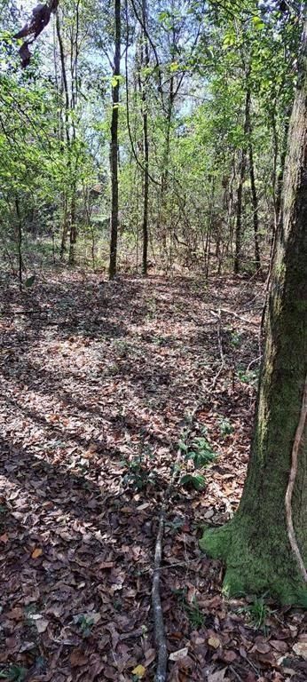 0 Dykes Road, Eight Mile, AL 36613 — photo 2