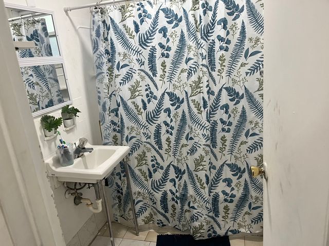 335 Manitowac Street, Park Forest, IL 60466