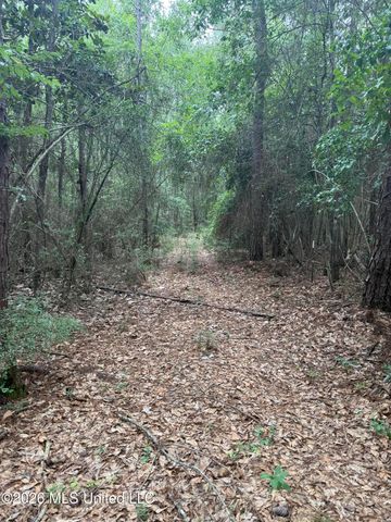 Highway 49, Saucier, MS 39574