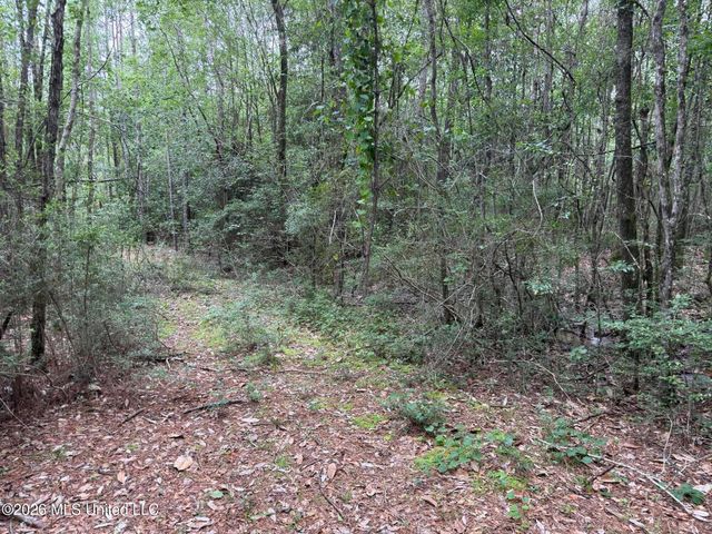 Highway 49, Saucier, MS 39574