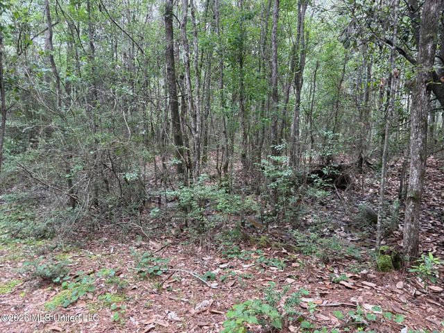 Highway 49, Saucier, MS 39574