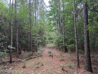 Highway 49, Saucier, MS 39574
