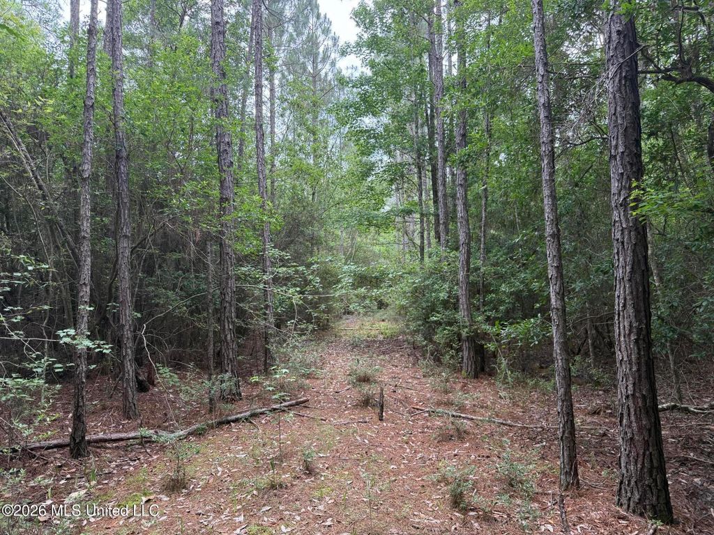 Highway 49, Saucier, MS 39574