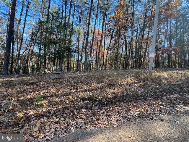 RUNAWAY CT, Berkeley Springs, WV 25411