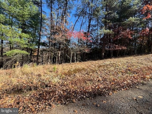 RUNAWAY CT, Berkeley Springs, WV 25411