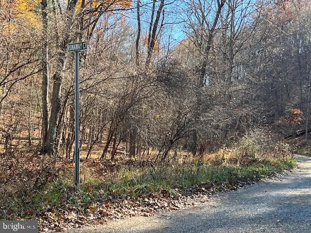 RUNAWAY CT, Berkeley Springs, WV 25411
