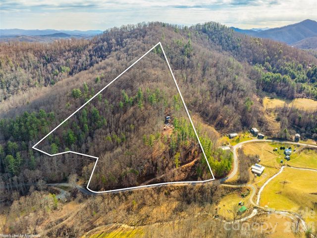 2504 Upper Paw Paw Road, Marshall, NC 28753