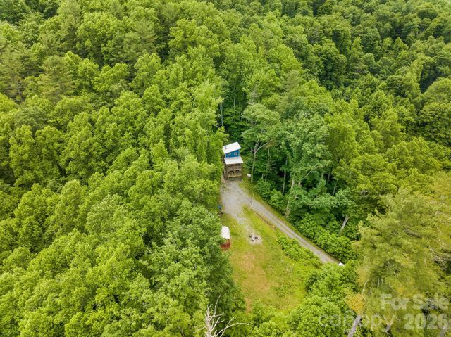 2504 Upper Paw Paw Road, Marshall, NC 28753