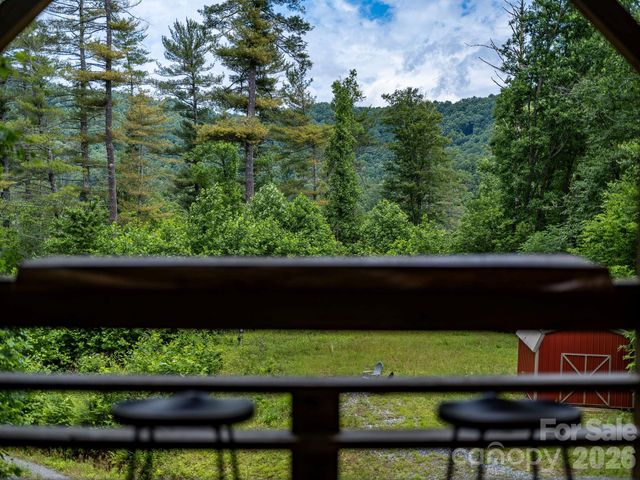 2504 Upper Paw Paw Road, Marshall, NC 28753