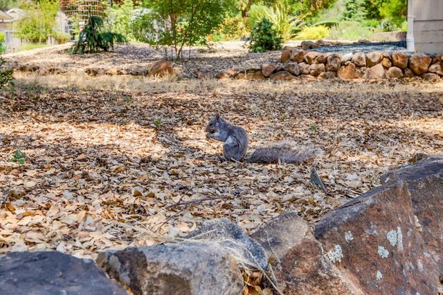 18087 Jayhawk Dr, Penn Valley, CA 95946