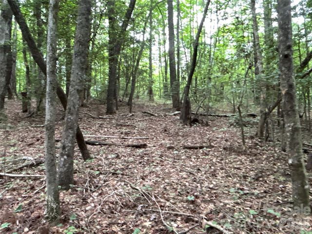00 J Thomas Road, Morganton, NC 28655