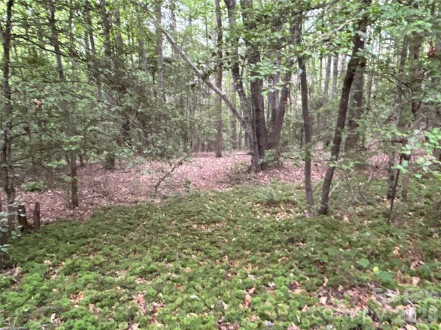 00 J Thomas Road, Morganton, NC 28655