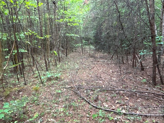 00 J Thomas Road, Morganton, NC 28655