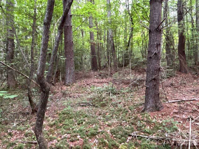 00 J Thomas Road, Morganton, NC 28655