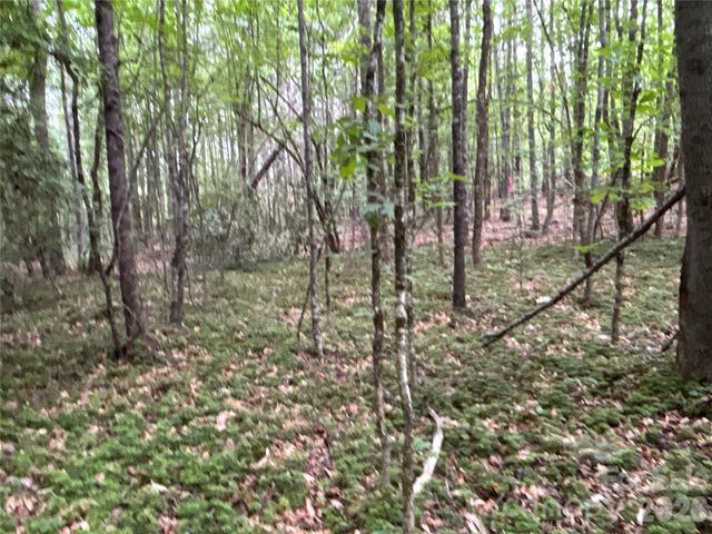 00 J Thomas Road, Morganton, NC 28655