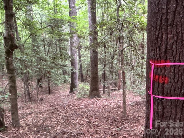 00 J Thomas Road, Morganton, NC 28655