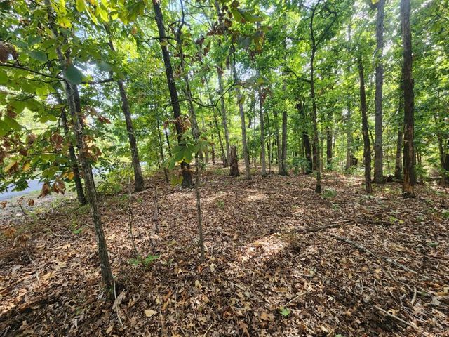 Lot 2 Chatham Drive, Bella Vista, AR 72714