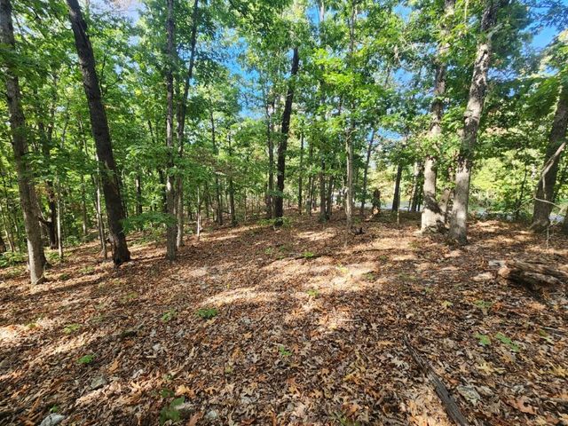 Lot 2 Chatham Drive, Bella Vista, AR 72714