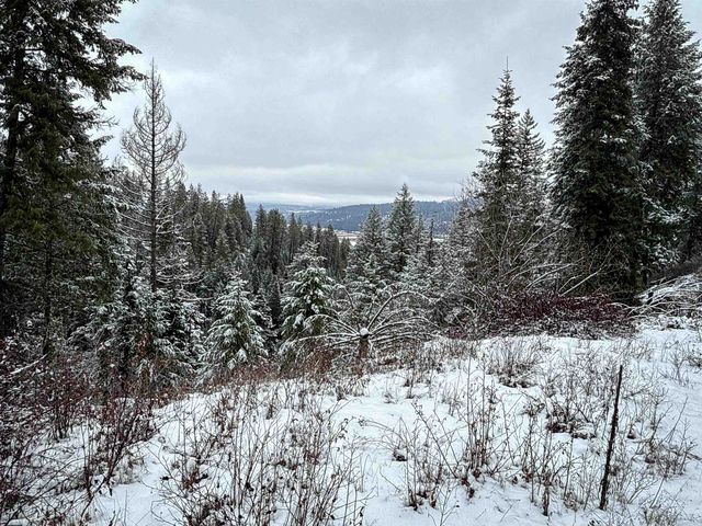 NKA Deer Creek Rd, Valley, WA 99181