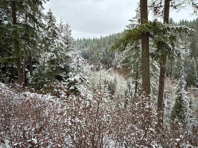 NKA Deer Creek Rd, Valley, WA 99181