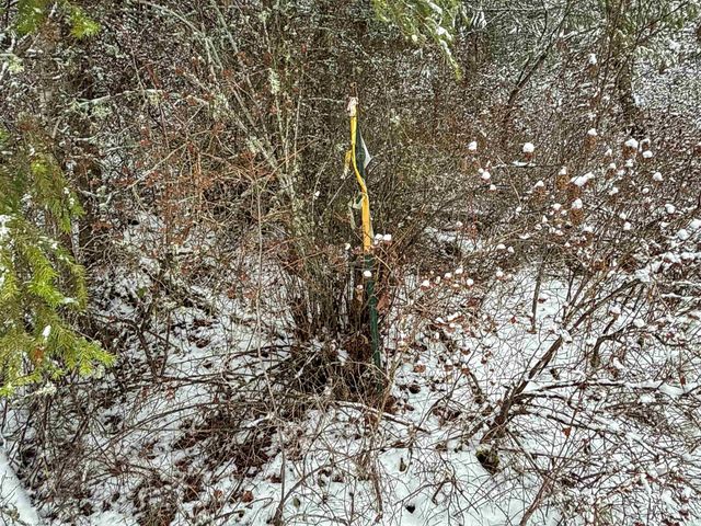 NKA Deer Creek Rd, Valley, WA 99181